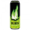 Burn Apple Kiwi TastyFood (ТестиФуд)